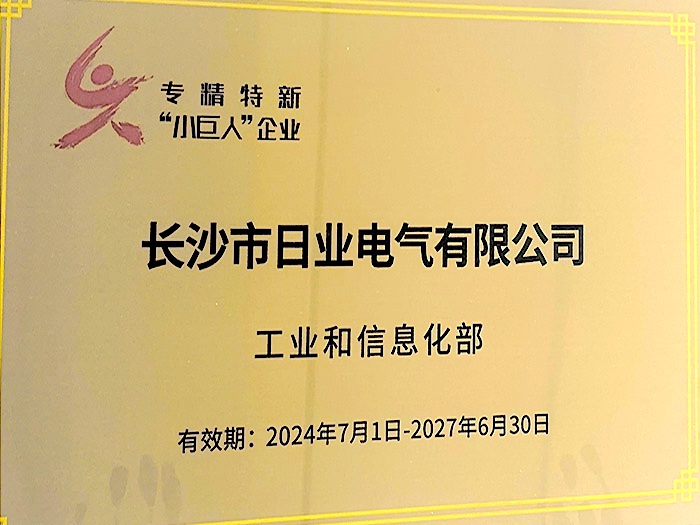 專精特新“小巨人”企業(yè)